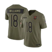 Men’s Chicago Bears 2025 Salute to Service Vapor Limited Jersey